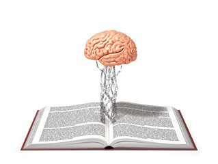 Концептуальный образ с растущим деревом из книги. Мозг на дереве, дерево растет из открытой книги. 3d иллюстрации