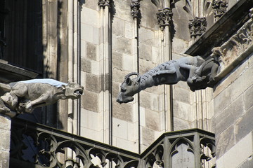 Wasserspeier am Kölner Dom