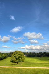 Wollaton park Nottingham Nottingham, UK, England..