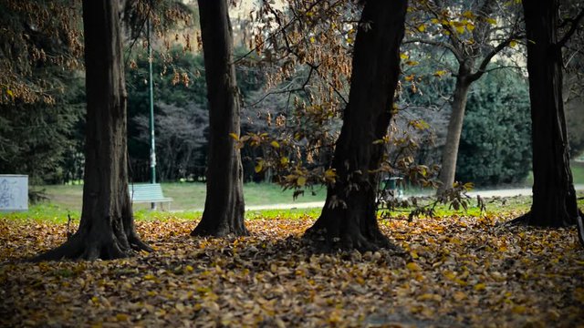 autunno