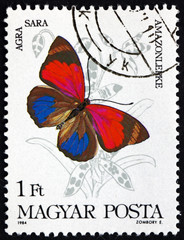 Postage stamp Hungary 1984 Agra Sara, Butterfly