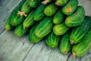 Pile of fresh organic cucumbers on a market