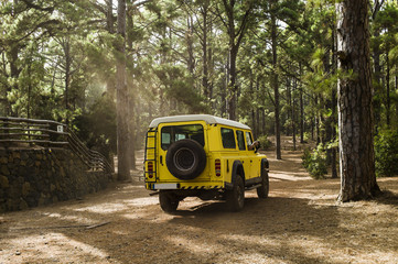 A Brifor Landrover fire fighter car in the forrests of La Esperanza, Tenerife, Spain Teide national park to check out the fire situation in the woods.