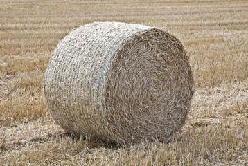 Round Straw Bale