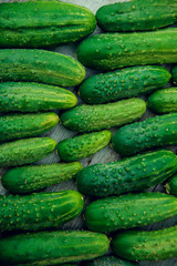 a lot of green dirty cucumber on the supermarket shelf