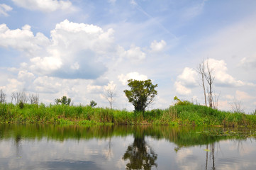 View of the river on a sunny day