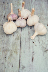 closeup garlic isolated on wooden table