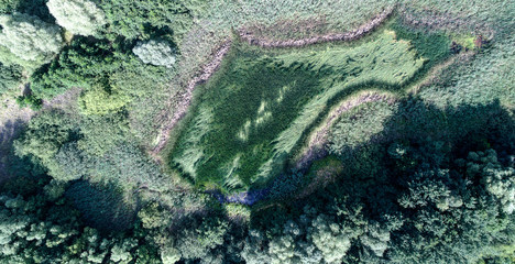 Completely become overgrown pond from the air .