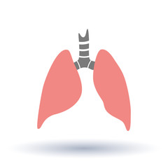 Vector silhouette medical illustration of human body organ - lungs with trachea.