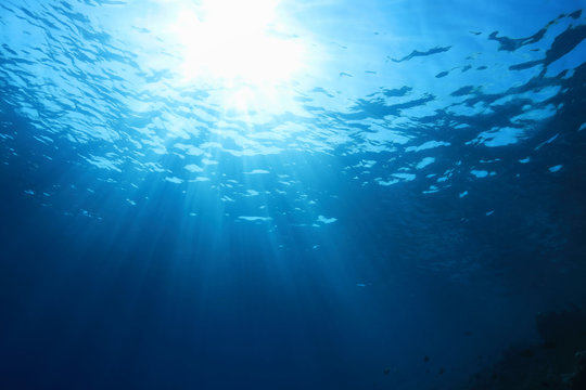 Fototapeta Water surface and sunlight