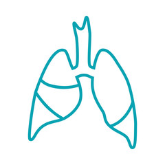 Vector silhouette medical illustration of human body organ - lungs with trachea.