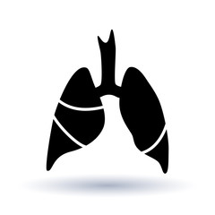 Vector silhouette medical illustration of human body organ - lungs with trachea.