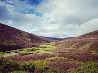 Fototapeta na wymiar Heidelandschaft bei Glenlivet, Schottland