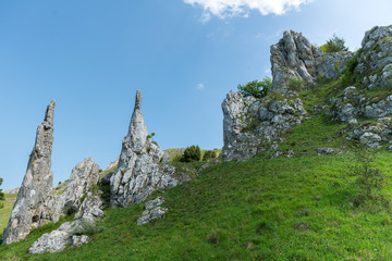 Fototapeta na wymiar nature reserve - Eselsburger Tal valley