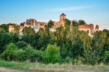 Fototapeta na wymiar Beautiful historic castle ruins on a green hill. Ruins of Tenczyn Castle in Rudno, Poland.