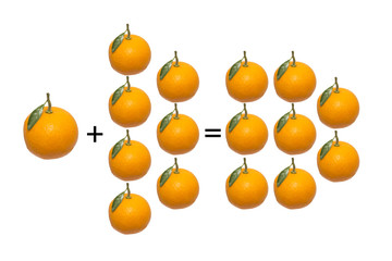 The citrus fruit used to teach children the calculation on a white background