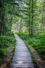 Schonach im Schwarzwald Wandern und Wintersport