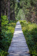 Schonach im Schwarzwald Wandern und Wintersport