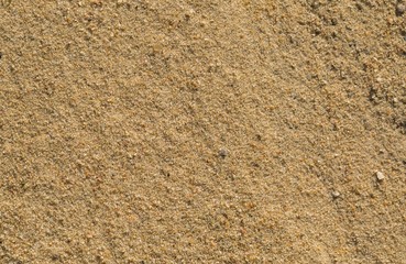 Background of sand grains in big close up