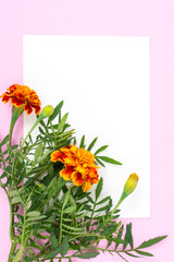 Obraz premium Creative layout for text on pastel colored paper