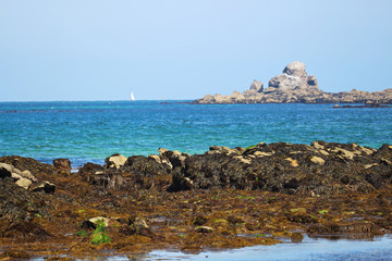 Au bord de l'oc&eacute;an