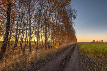 Sunrise in the autumn fields #2