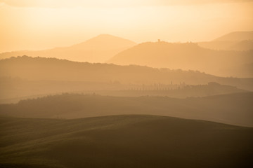 Golden light of Tuscany