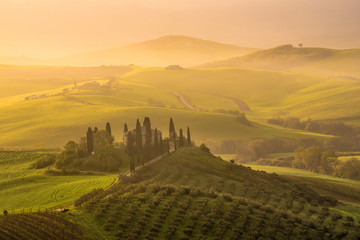 Green hills of Tuscany