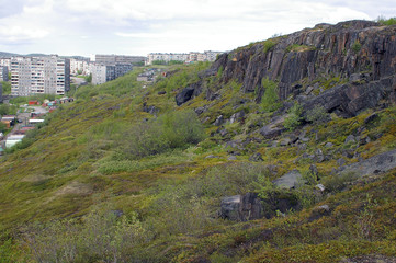 The slopes of the hill of Green Cape, Murmansk, Russian Federation