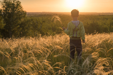 Blooming feather-grass