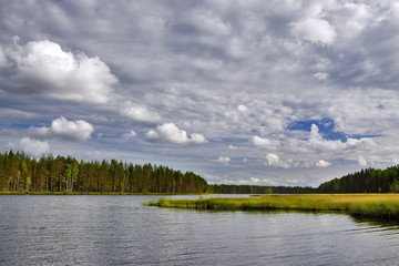 Fototapeta premium Lake landscape with a forest and the beautiful sky with clouds on a summer day. Karelia, Russia.