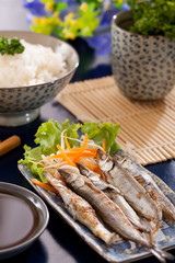 Shishamo