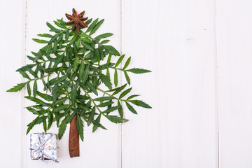 Minimalistic Christmas tree made of garden plant on white boards