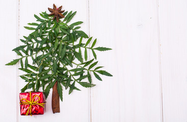 Minimalistic Christmas tree made of garden plant on white boards