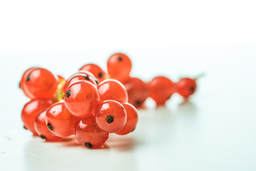 Red currants macro