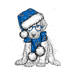 Cute puppy in a New Year hat and scarf. Vector illustration. Pedigree dog. Santa Claus. New Year's and Christmas.
