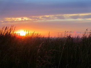Fototapeta na wymiar Sunset over Swedish shore