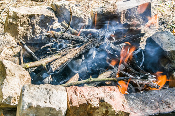 Bonfire, divorced in the forest.