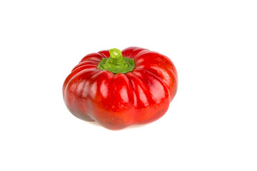 Red bell pepper on white background