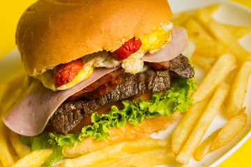 Sanduiche Gourmet Xtudo com batata frita