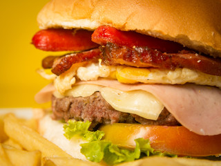 Sanduiche Gourmet Xtudo com batata frita