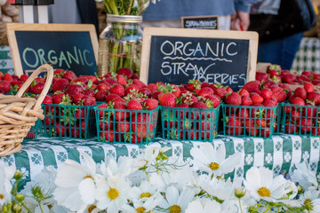 Cute, Charming Strawberries and Daisies at a Stall in a Spring and Summertime California Farmer's Market