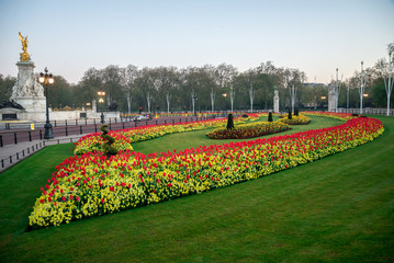 Flower-beds and Queen Victoria memorial near Buckingham Palace in London