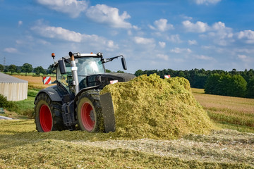 Obraz premium Maisernte - Traktor mit Planierschild schiebt Erntegut auf den Silagehaufen
