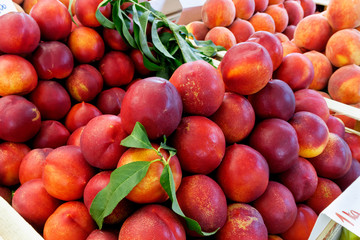 Wooden boxes with nectarines decorated with leaves.