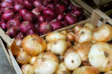 Wooden boxes with yellow and red onions at market.