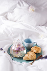 Breakfast in bed