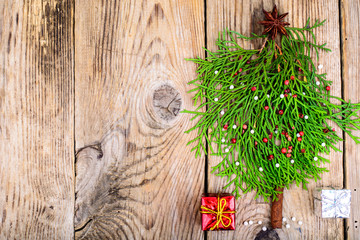 New Year's Concept. Spruce tree