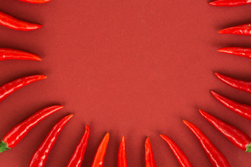 red hot chili peppers, popular spices concept - semicircle still life composition of hot chili peppers pods on red background, top view, flat lay, free space for text