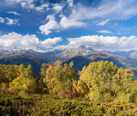 Autumn Landscape with a view of the top of the mountain